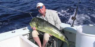 Port canaveral transportation is a part of atlantic transportation group. Port Canaveral Deep Sea Fishing Near Orlando Florida Cape Canaveral Charter Boat Sport Fishing