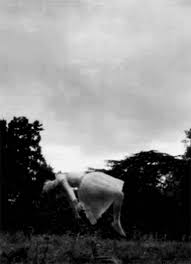Daughter Of Hades Scary Gif Surreal Photos Creepy