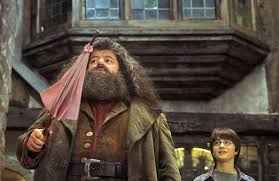 Does Hagrid visit every student that doesn't respond to their letters for  admission at Hogwarts? - Quora
