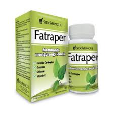 Untuk meningkatkan daya tahan tubuh, kamu bisa mencoba minum jus kunyit, jamu kunyit, atau makanan berbumbu kunyit. Jual Sidomuncul Paket Hemat Obat Kurus Penghancur Lemak Kapsul Fatraper Jamu Langsing Madu Langsing Murah Mei 2021 Blibli