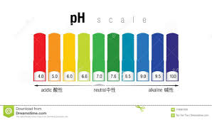 The Ph Color Scale Stock Illustration Illustration Of