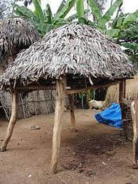 images?q=tbn:ANd9GcRQL-0Wcro0UM-qhbNoGSr