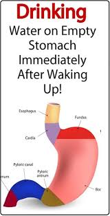 Here Is Why You Need To Drink Water On An Empty Stomach After Waking Up Water Empty Stomach Health Health Tips Health Health Promotion