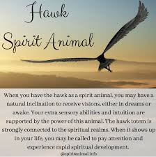 Hawk Spirit Animal Spirit Animal Meaning Hawk Spirit Animal Spirit Animal Totem