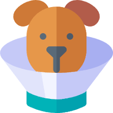 Veterinarian In Crown Point In Crown Point Animal Hospital