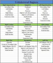 9 Quadrants Of The Abdomen Nursing School Studying Nurse Nursing Students