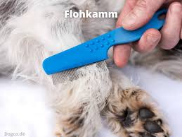 Im parasiten, zoonosen und hauterkrankungen forum im bereich katzenkrankheiten; Bestes Mittel Gegen Flohe Bei Hunden Halsband Kamm Oder