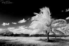 Image result for tbn:cRxpWML3C6TQFM::farm3.static.flickr.com/2382/2420623259_e3c8cd4fd8.jpg