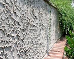 Polished plaster wall finishes have numerous advantages over other kinds of wall finishes. Types Of Plaster Finishes And External Rendering For Buildings
