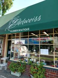 Maybe you would like to learn more about one of these? About Edelweiss Flower Boutique Santa Monica Ca Florist