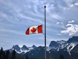 Responsibility dean, director, head or any other employee as appropriate in the circumstances action 1. You Said It Yes Gun Laws Do Need To Change Ottawa Sun