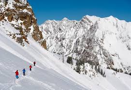 Alta builds quality, durable knee pads, elbow pads and work gear. Alta Ski Area Skiing Lodging Maps Visit Utah