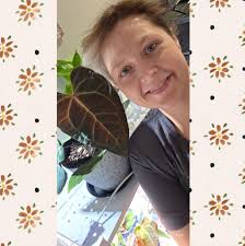 What ratio do you mix for houseplants in 1 gallon?