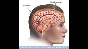 John Rigg: The Effect of Trauma