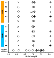 Crystals Free Full Text Bacterial Effect On The Crystallization Of Mineral Phases In A Solution Simulating Human Urine Html