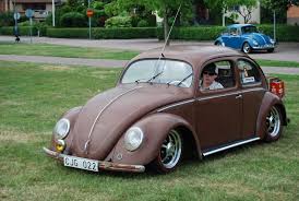 Image result for Medium Brown 1950 Beetle