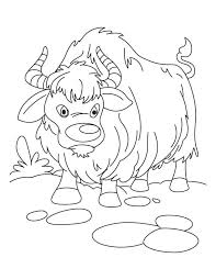Baby Yak Coloring Page Cartoon Coloring Pages Coloring Pages Earth Day Coloring Pages