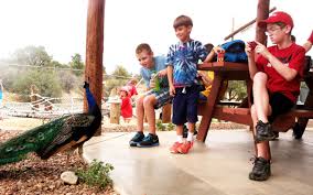 Field trips a cure for summertime blues