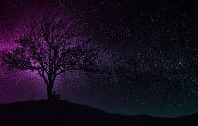 See more purple wallpaper, purple iphone wallpaper, pretty purple wallpapers, victorian purple wallpaper, purple pink wallpaper, purple floral looking for the best purple backgrounds? Wallpaper Dark Wallpaper Black Art Tree Man Hill Purple Silhouette Starry Sky Miscellaneous 4k Uhd Background Images For Desktop Section Raznoe Download