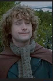 Name that bird Difficulty level: Impossible for Brennan