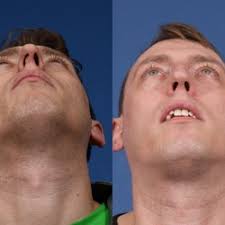 T Rex Stump Grinding Gift Cards