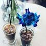 Mento Flowers and Coffee from black2business.uk