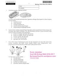 Protein sel tunggal adalah istilah yang digunakan untuk protein kasar atau murni yang berasal dari mikroorganisme bersel satu. Soal Osn Biologi Sma 2016 Dan Pembahasannya