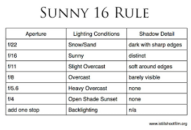 I Still Shoot Film An In Depth Guide To The Sunny 16 Rule