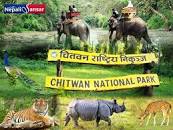 Image result for royal chitwan national park