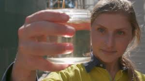 Nestlé announces $2million Gympie water savings