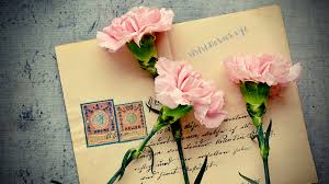 Hoy os traigo una pequeña recopilación de cartas de amor para mi novia que podeis dedicar a las vuestras si así lo deseais, prometo no decir nada 😉 espero que os gusten y que podais sacarle provecho, allá vamos Carta De Amor Para Mi Novia 2020 Originales Novios Novios