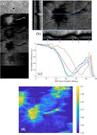 The company is an independent original parts designer and manufacturer of aerostructures in the world. Surface Plasmon Resonance Imaging Of Excitable Cells Iopscience