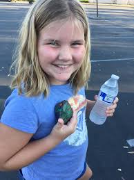 My little guy found this one at Costco today 🙂 Santee