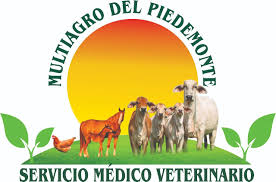 multiagro del piedemonte