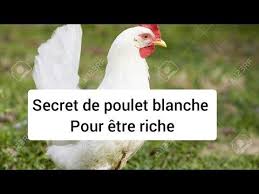 Secret De Poulet Blanche Pour La Richesse Youtube Free Books Download Download Books Tour Eiffel