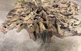 Tree roots can be directed to grow in channels provided for by good design. Sustainably Sourced Tree Root Tables African Furniture Decor Phases Africa