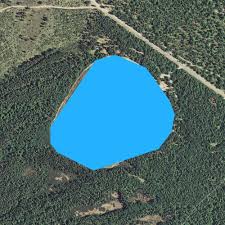 Andrus lake state forest campground. Andrus Lake Michigan Fishing Report