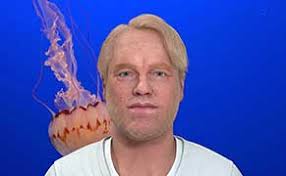 Robin Peckham Archives