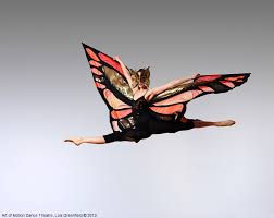 Resultado de imagen para lois greenfield