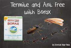 Termite Treatment Diy Projects Craft Ideas How To S For Home Decor With Videos Diy Termite Treatment Termite Treatment Termites