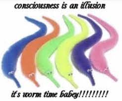 Worm Time Memes Funny Memes Stupid Memes