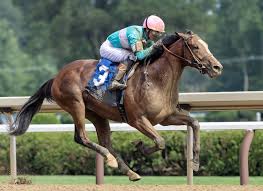 Camilla Araujo porn Twitter - natural and raw content!