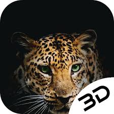 You can share this wallpaper in social networks, we will be very. App Insights Quiet Killer Jaguar Cheetah Hd Live 3d Wallpaper Apptopia