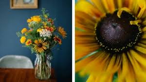 Check spelling or type a new query. Subscription Floralora Flowers