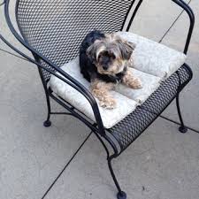 Urgent pet care of omaha is excited to announce that we will begin a phased reopening to our clients, starting june 1st! Urgent Pet Care Papillion 58 Photos 29 Reviews Veterinarians 8455 S 73rd Plz Papillion Ne Phone Number