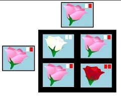 Two Pink Flowering Plants Are Crossed The Offspring Percentages Are 25 Red 25 White And 50 Pink Brainly Com