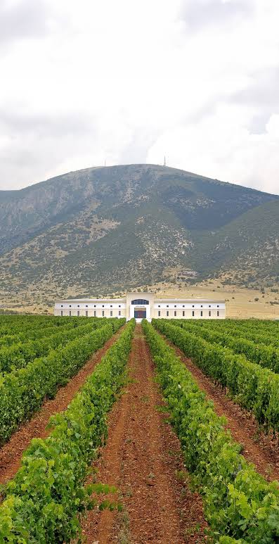 Ktima Pavlidis, Thrace