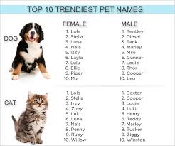 Top 10 Trendiest Cat And Dog Names