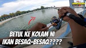 Terdapat dua buah kolam yang disediakan di sini. Kolam Pancing Air Masin Ø£ÙØ¶Ù„ Ù…Ù†ØµØ© ØªØ±ÙÙŠÙ‡ÙŠØ© Ù…ÙˆØ³ÙŠÙ‚ÙŠØ© Ø­ÙŠØ©