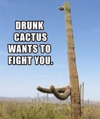 The big brother of this little guy 7 Cactus Memes We Like Ideas Cactus Memes Bones Funny